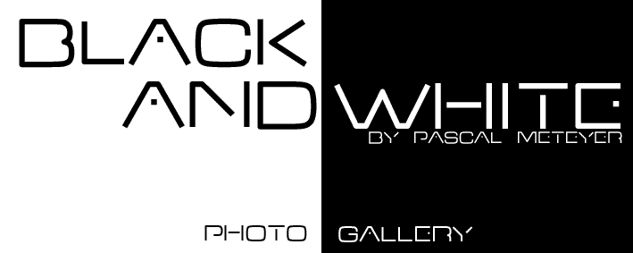PHOTO GALLERY by Pascal METEYER